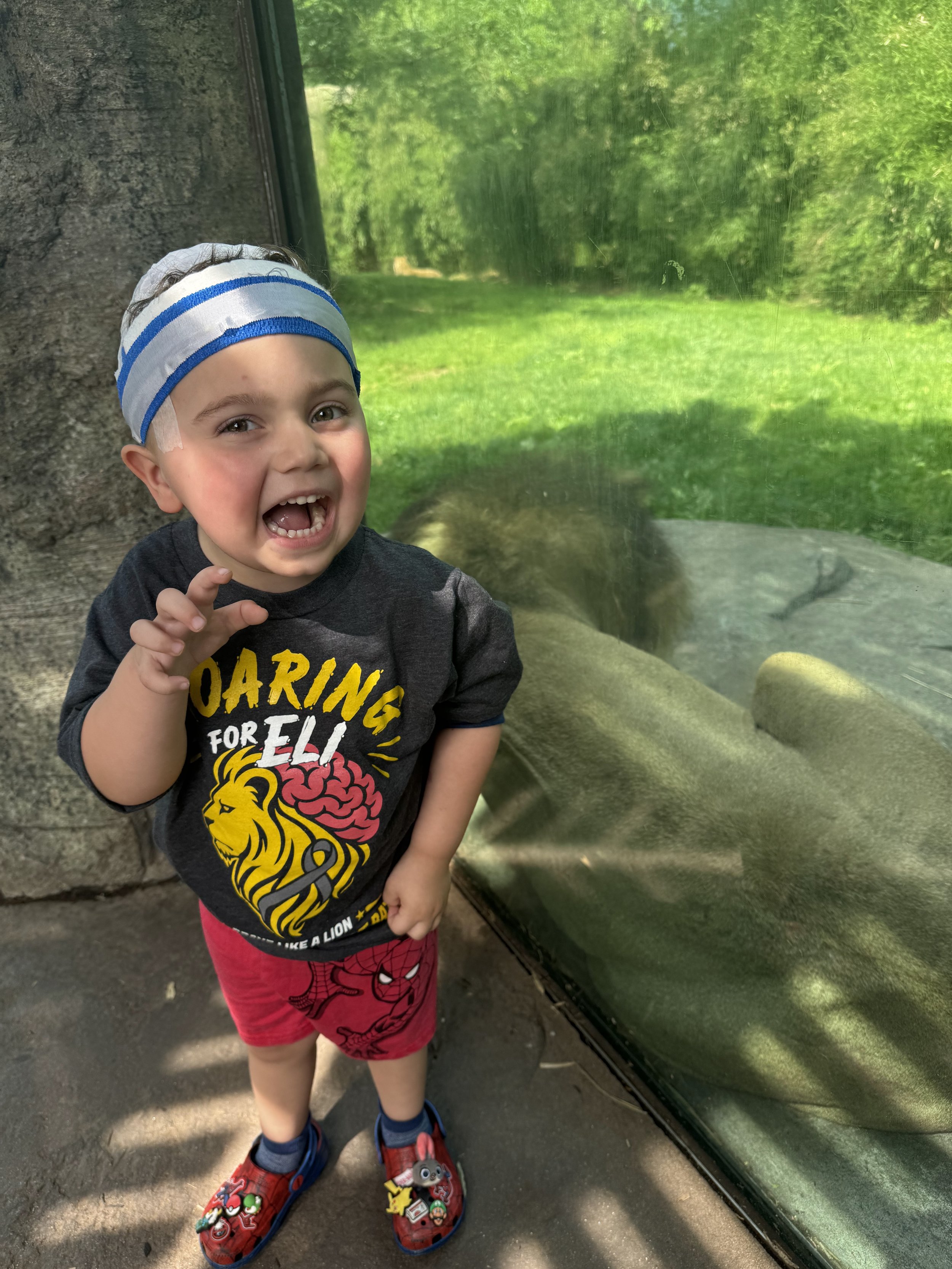 Eli roaring at the zoo in his Roaring For Eli shirt, in front of the lion enclosure